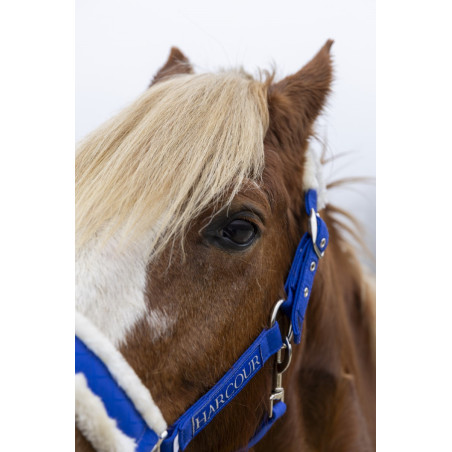 Capestro e lunghina Harcour Teschic