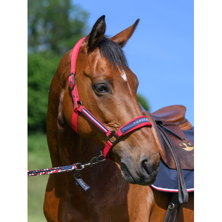 Capestro e lunghina Tommy Hilfiger Equestrian Yale