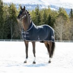 Coperta Theo Thermo B Vertigo