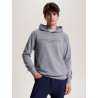Felpa con cappuccio grafica Tommy Hilfiger Equestrian Williamsburg unisex - Grigio mélange