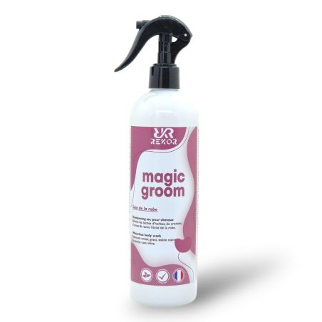 Shampoo secco Rekor Magic Groom