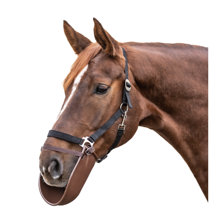 Parabocca Waldhausen