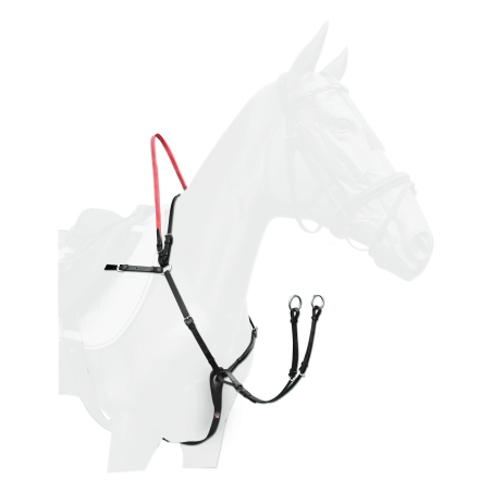 Bricole Waldhausen redini di sicurezza Secutrust