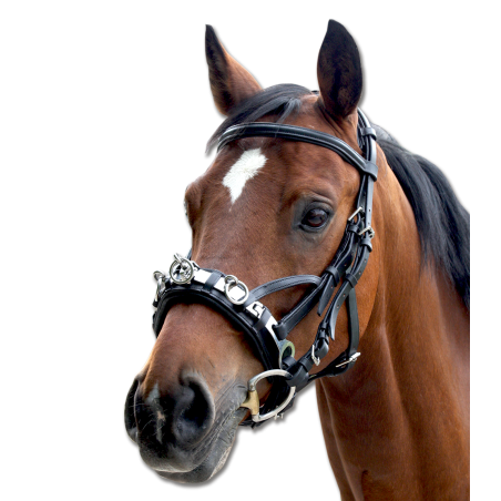 Capezzina in cuoio Waldhausen