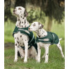 Cappotto antipioggia per cane Waldhausen - Verde abete