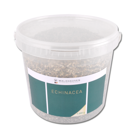 Echinacea Waldhausen