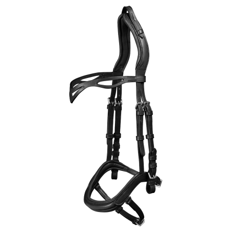 Filet anatomico Waldhausen Island