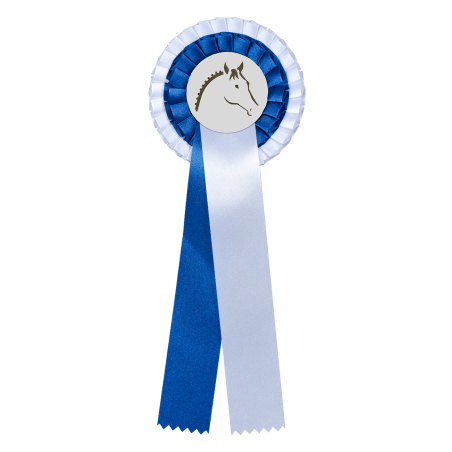 Flot Waldhausen premiazione doppia coccarda