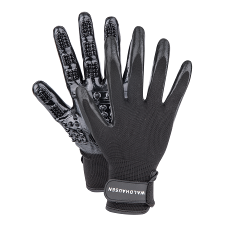 Guanto per la strigliatura Waldhausen