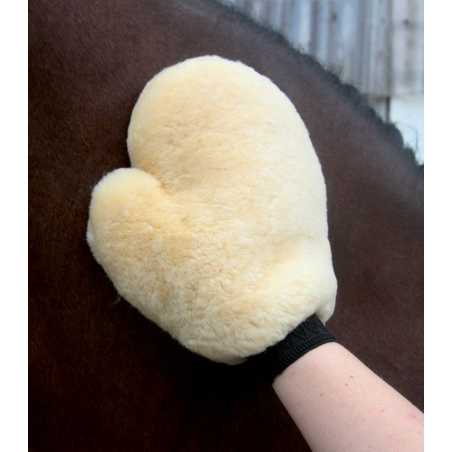 Guanti in montone Waldhausen