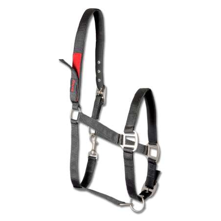 Capestro di sicurezza Waldhausen