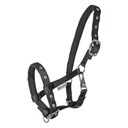 Cavezzale Puledro Waldhausen Confort