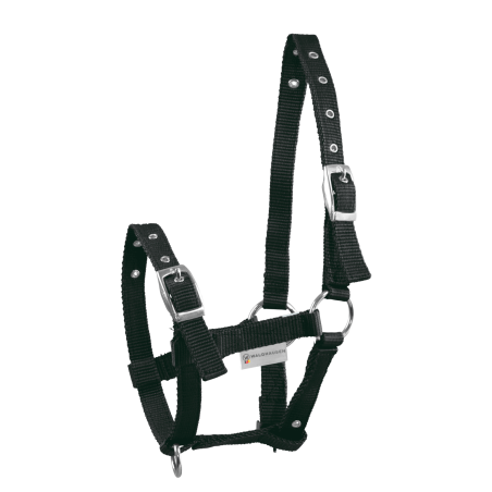 Capestro per puledro Waldhausen Triple