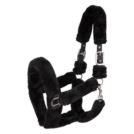 Capestro Waldhausen Cozy