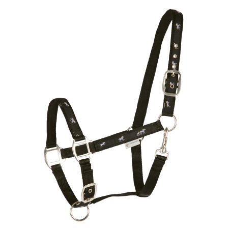 Capestro Waldhausen déco Cavallini