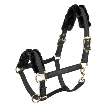 Cavezza Waldhausen Exclusive