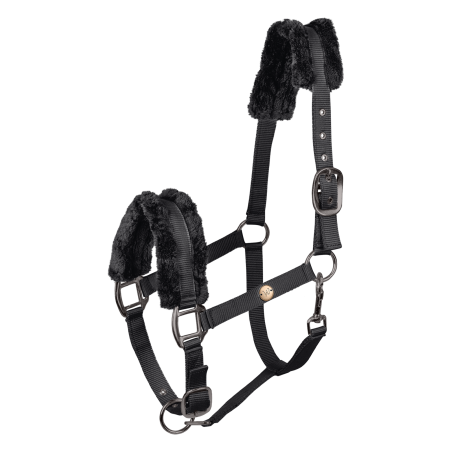 Capezzina Waldhausen Modern Rosé