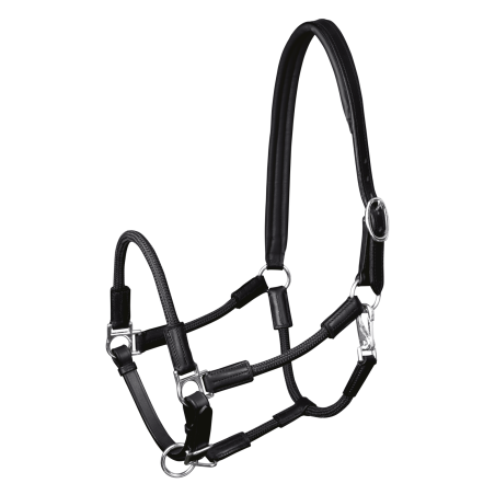 Capezzina Waldhausen Nevada