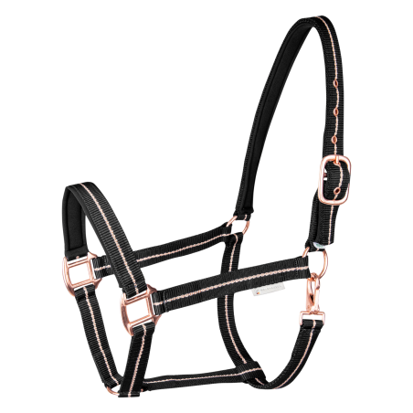 Capezzina Waldhausen Rosé