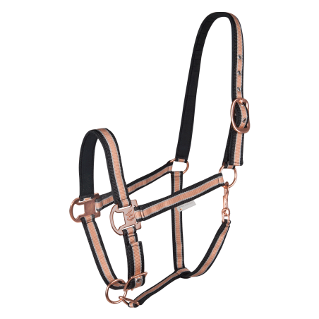 Capezza Waldhausen Shine