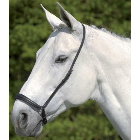 Capezzina tedesca Waldhausen S-Line