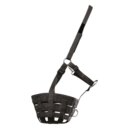 Cesta da pascolo Waldhausen