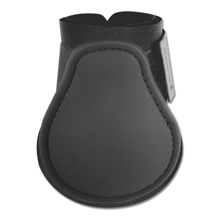 Paraglomi Waldhausen Basic