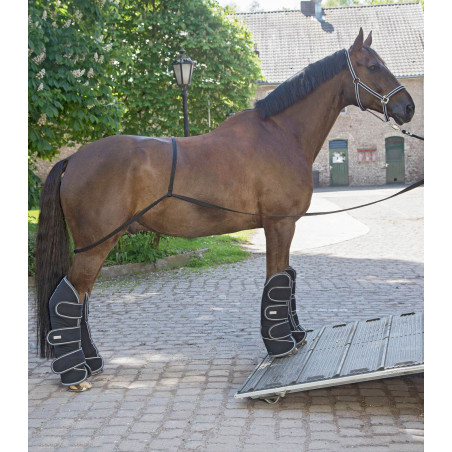 Rampa Waldhausen camion