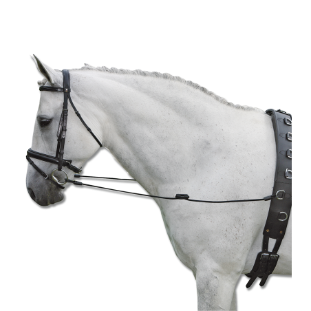 Redini fisse elastiche Waldhausen