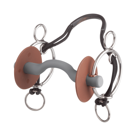 Mors Combi Beris passaggio canonico di lingua