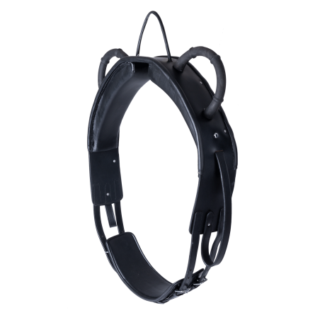 Soprasella da volteggio Waldhausen