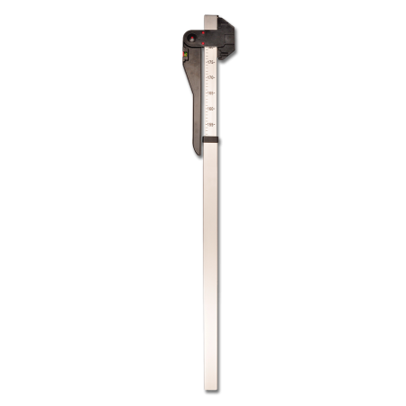 Toise Waldhausen cavallo