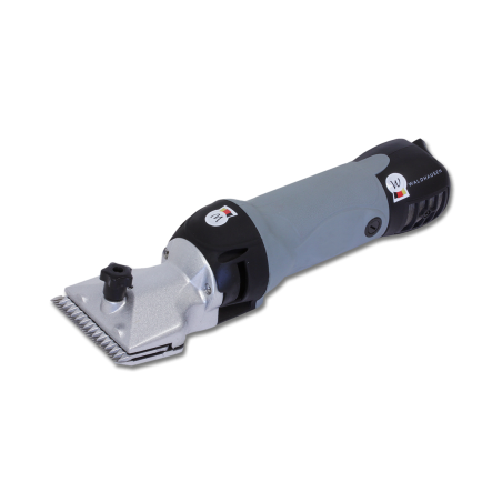 Tosatrice Waldhausen