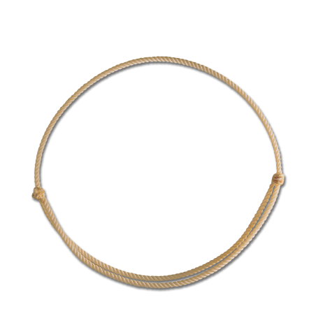 Cordicella Linda Tellington-Jones