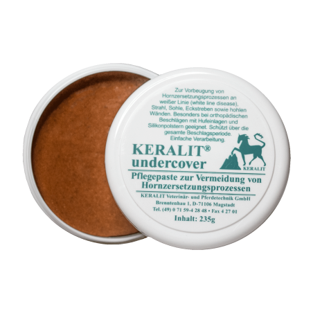 Manutenzione forchetta Keralit