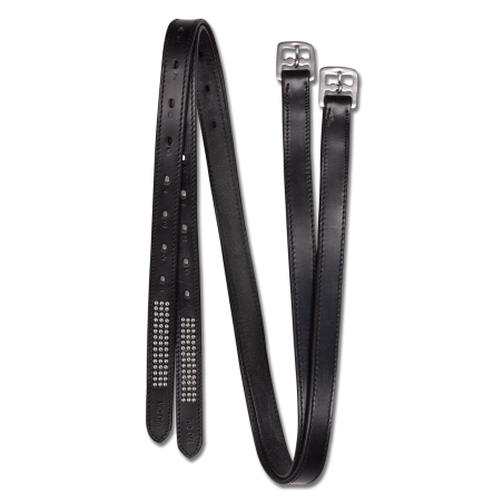 Etrivières Silverstar Star