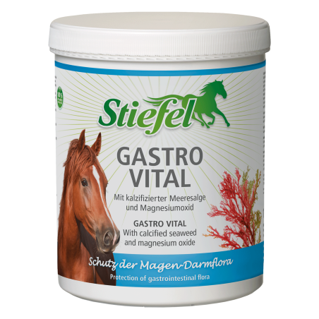Gastro Vital Stivali
