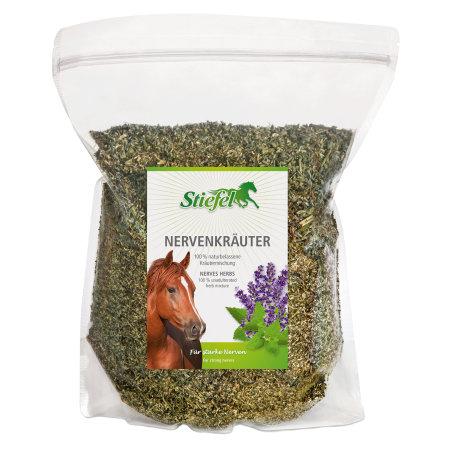 Erbe sistema nervoso Stiefel