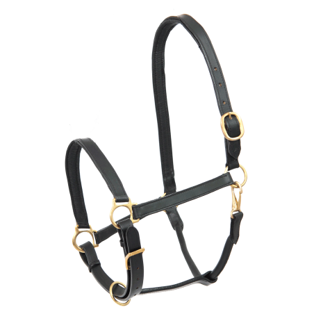 Capezzina in cuoio Star Robust