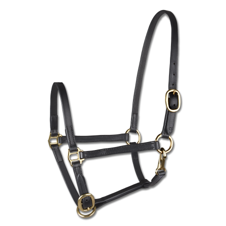 Capezzina da presentazione in cuoio Star puledro