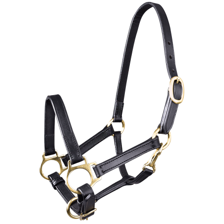 Capezzina in cuoio Star puledro