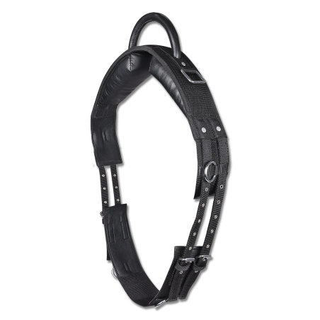 Sottopancia Star con una maniglia