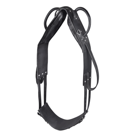 Sottopancia Star volteggio e longhina