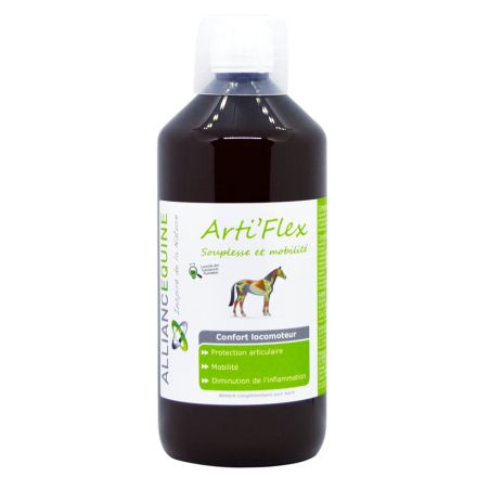 Arti'Flex Alleanza Equina