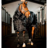 Coperta da scuderia Horseware Easy-Layer Plus 400g - Nero / nero / argento