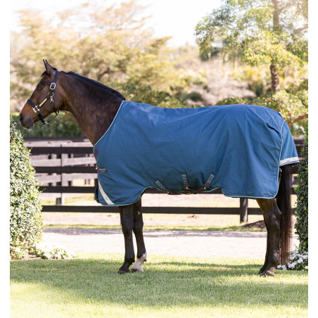 Coperta Horseware Rhino Turnout 100g