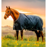 Coperta Horseware Amigo Ripstop 900D Turnout 100g - Marine witney