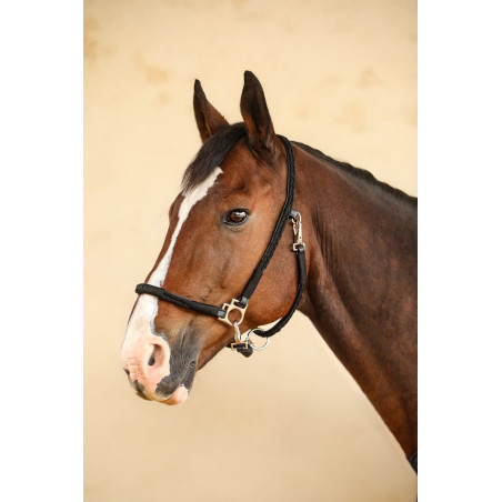 Capezzina Hups Harcour