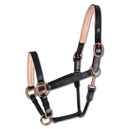 Capezzina in cuoio Rosa Waldhausen X-Line