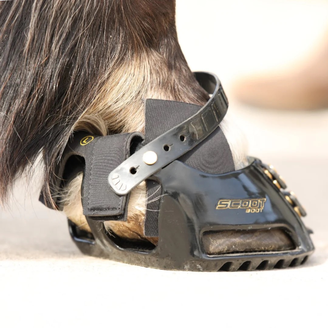 Protezione Ibrida Stivali Scoot Ghette Nero Protezione Ibrida Stivali Scoot Ghette Nero